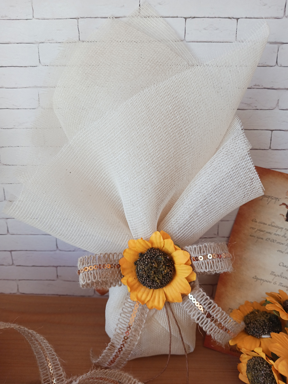 ηλιοτρόπιο-2